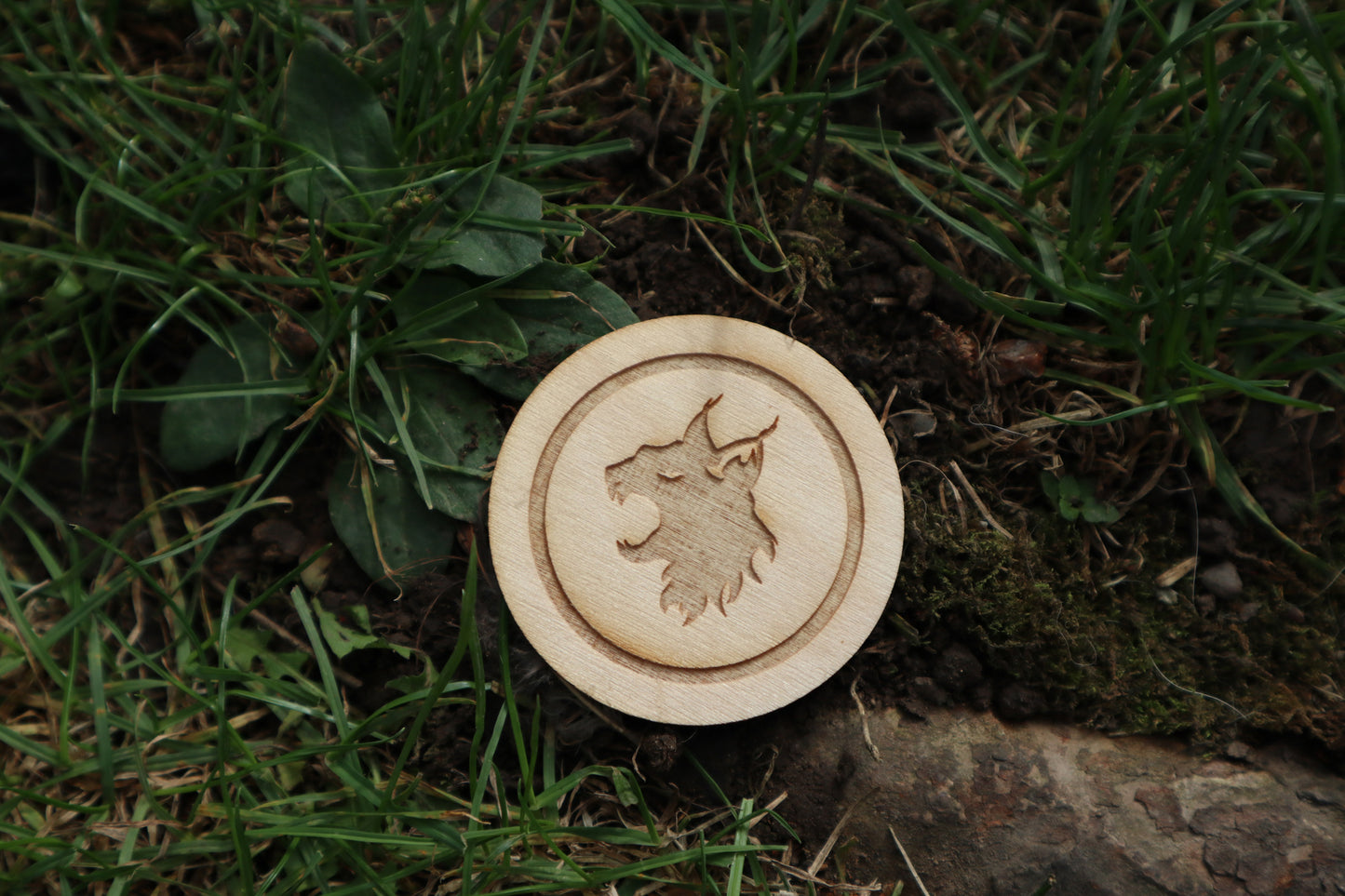 Holz-Magnet